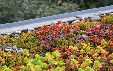 the cost of Whalleys green roof installation